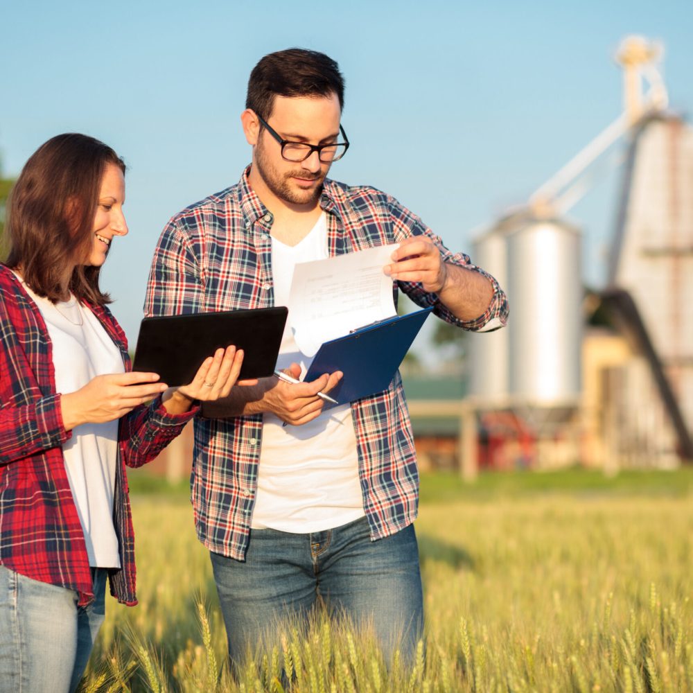 Two young female and male agronomists or farmers inspecting wheat fields before the harvest. Man is filling reports on a clipboard. Organic farming and healthy food production.