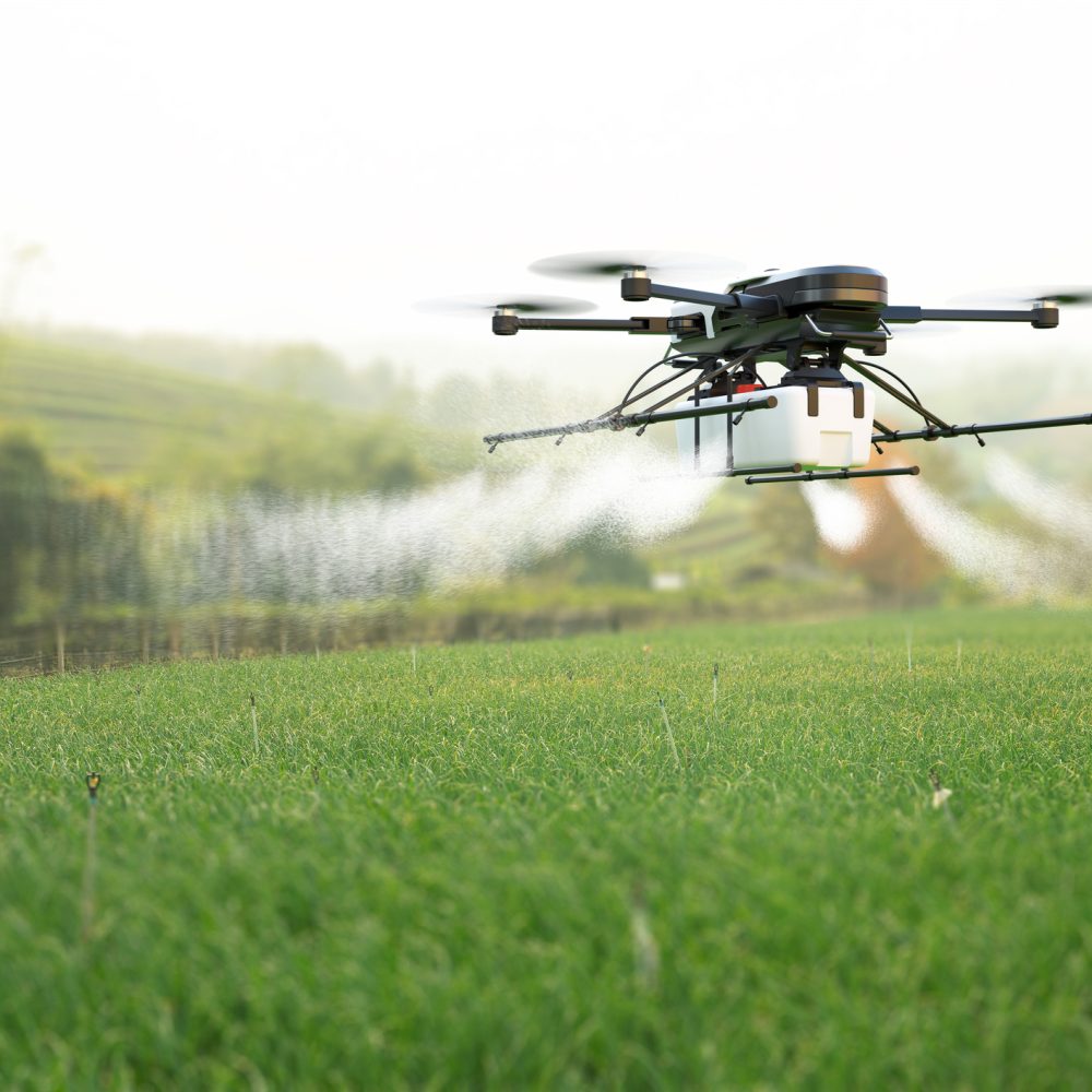 Drone spraying pesticide on wheat field. 3D illustration